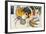 Wassily Kandinsky-Wassily Kandisnky-Framed Premium Giclee Print