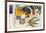 Wassily Kandinsky-Wassily Kandisnky-Framed Premium Giclee Print