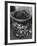 Waste Paper Basket-null-Framed Photographic Print