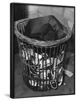 Waste Paper Basket-null-Framed Photographic Print