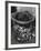 Waste Paper Basket-null-Framed Photographic Print