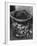 Waste Paper Basket-null-Framed Photographic Print