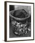 Waste Paper Basket-null-Framed Photographic Print