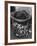 Waste Paper Basket-null-Framed Photographic Print