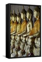 Wat Arun (Temple of the Dawn), Bangkok, Thailand, Southeast Asia, Asia-Jean-Pierre De Mann-Framed Stretched Canvas