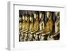 Wat Arun (Temple of the Dawn), Bangkok, Thailand, Southeast Asia, Asia-Jean-Pierre De Mann-Framed Photographic Print