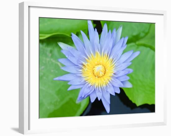 Wat Chalong Temple, Phuket, Thailand, Southeast Asia, Asia-Nico Tondini-Framed Photographic Print