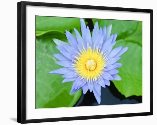 Wat Chalong Temple, Phuket, Thailand, Southeast Asia, Asia-Nico Tondini-Framed Photographic Print