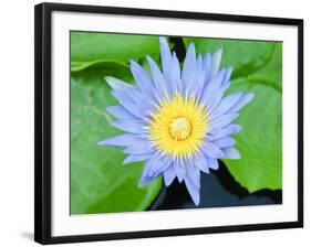 Wat Chalong Temple, Phuket, Thailand, Southeast Asia, Asia-Nico Tondini-Framed Photographic Print