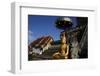 Wat Chedi Luang, Chiang Mai, Thailand, Southeast Asia, Asia-null-Framed Photographic Print