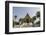 Wat Chum Khong, in the Royal Museum Complex, Luang Prabang, Laos-Robert Harding-Framed Photographic Print