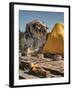 Wat Lokaya Suttha in Ayutthaya Reclining Buddha-Terry Eggers-Framed Photographic Print