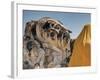 Wat Lokaya Suttha in Ayutthaya Reclining Buddha-Terry Eggers-Framed Photographic Print