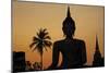 Wat Mahatat, Sukhothai Historical Park, Sukhothai, Thailand, Southeast Asia, Asia-null-Mounted Photographic Print