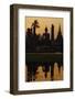 Wat Mahatat, Sukhothai Historical Park, Sukhothai, Thailand, Southeast Asia, Asia-null-Framed Photographic Print