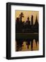 Wat Mahatat, Sukhothai Historical Park, Sukhothai, Thailand, Southeast Asia, Asia-null-Framed Photographic Print