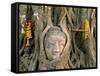 Wat Mahathat, Buddha Head, Ayutthaya, Thailand-Steve Vidler-Framed Stretched Canvas