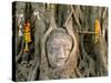 Wat Mahathat, Buddha Head, Ayutthaya, Thailand-Steve Vidler-Stretched Canvas