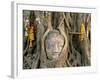 Wat Mahathat, Buddha Head, Ayutthaya, Thailand-Steve Vidler-Framed Photographic Print