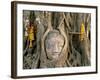 Wat Mahathat, Buddha Head, Ayutthaya, Thailand-Steve Vidler-Framed Photographic Print