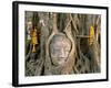 Wat Mahathat, Buddha Head, Ayutthaya, Thailand-Steve Vidler-Framed Photographic Print