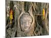 Wat Mahathat, Buddha Head, Ayutthaya, Thailand-Steve Vidler-Mounted Photographic Print