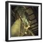 Wat Pho (Temple of the Reclining Buddha), Bangkok, Thailand-Jon Arnold-Framed Photographic Print