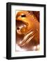 Wat Pho (Temple of the Reclining Buddha), detail of face of big reclining golden Buddha statue-Godong-Framed Photographic Print
