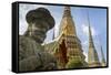 Wat Pho (Wat Po), Bangkok, Thailand, Southeast Asia, Asia-Frank Fell-Framed Stretched Canvas