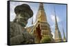 Wat Pho (Wat Po), Bangkok, Thailand, Southeast Asia, Asia-Frank Fell-Framed Stretched Canvas