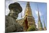 Wat Pho (Wat Po), Bangkok, Thailand, Southeast Asia, Asia-Frank Fell-Mounted Photographic Print