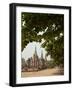 Wat Phra Si Sanphet, Ayutthaya, UNESCO World Heritage Site, Ayutthaya Province, Thailand-Michael Snell-Framed Photographic Print