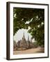 Wat Phra Si Sanphet, Ayutthaya, UNESCO World Heritage Site, Ayutthaya Province, Thailand-Michael Snell-Framed Photographic Print