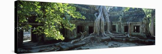 Wat Temple Complex of Ta-Prohm Cambodia-null-Stretched Canvas