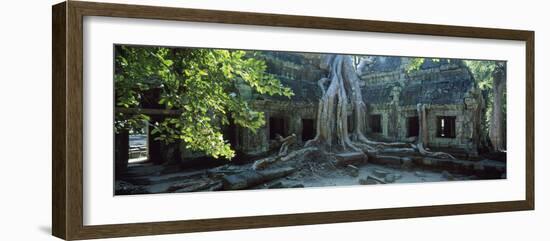 Wat Temple Complex of Ta-Prohm Cambodia-null-Framed Photographic Print
