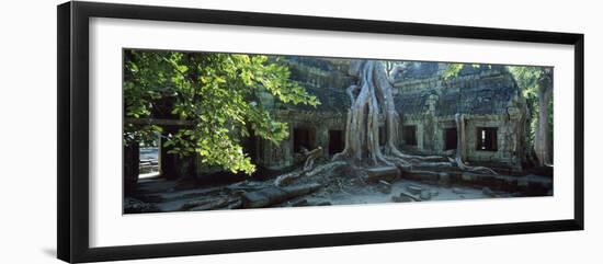 Wat Temple Complex of Ta-Prohm Cambodia-null-Framed Photographic Print