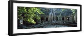 Wat Temple Complex of Ta-Prohm Cambodia-null-Framed Photographic Print