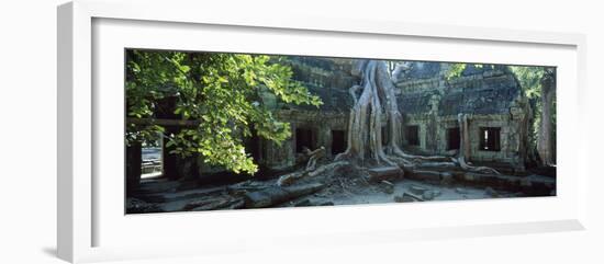 Wat Temple Complex of Ta-Prohm Cambodia-null-Framed Photographic Print
