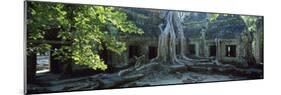 Wat Temple Complex of Ta-Prohm Cambodia-null-Mounted Photographic Print