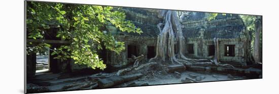 Wat Temple Complex of Ta-Prohm Cambodia-null-Mounted Photographic Print