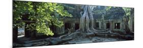 Wat Temple Complex of Ta-Prohm Cambodia-null-Mounted Photographic Print