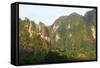 Wat Tham Phanthurat Temple, Khao Sok National Park, Surat Thani Province, Thailand, Southeast Asia-Christian Kober-Framed Stretched Canvas