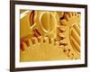 Watch Gears-Micro Discovery-Framed Photographic Print