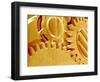 Watch Gears-Micro Discovery-Framed Photographic Print