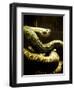 Watched-Clive Nolan-Framed Photographic Print
