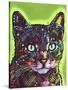 Watchful Cat-Dean Russo-Stretched Canvas