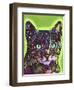 Watchful Cat-Dean Russo-Framed Giclee Print