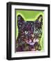 Watchful Cat-Dean Russo-Framed Giclee Print