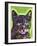 Watchful Cat-Dean Russo-Framed Giclee Print