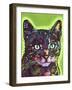 Watchful Cat-Dean Russo-Framed Premium Giclee Print